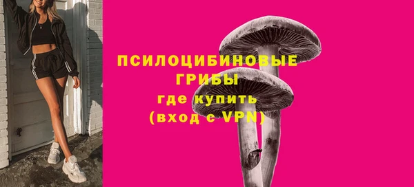 тгк Арсеньев
