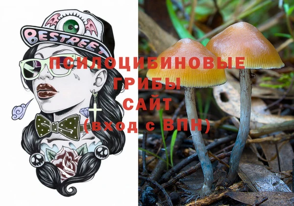 тгк Арсеньев